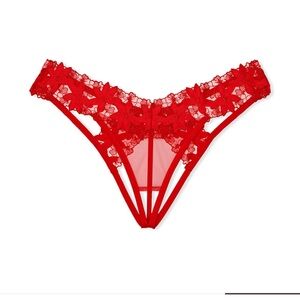 Victoria’s Secret very sexy satin ziggy glam floral embroidery crochless thong